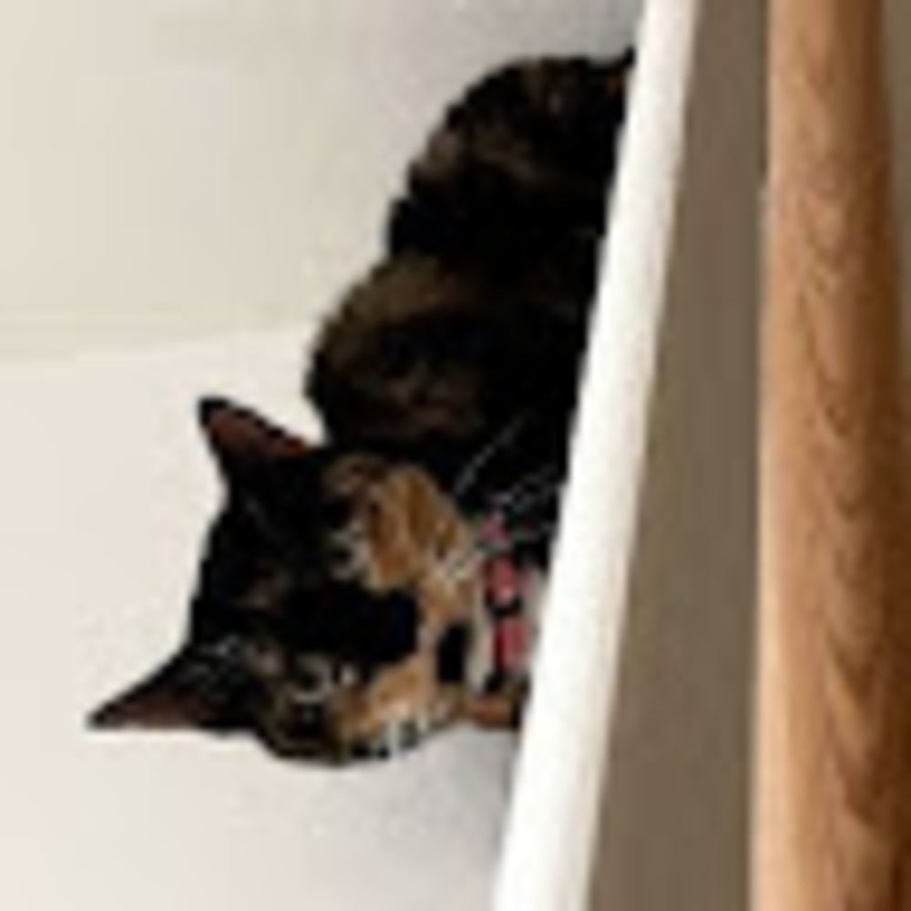 Meet your Posher, Theo